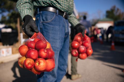 Farmer with Apples